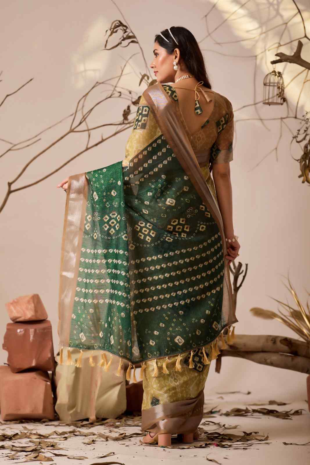 Catalog Designer Saree.