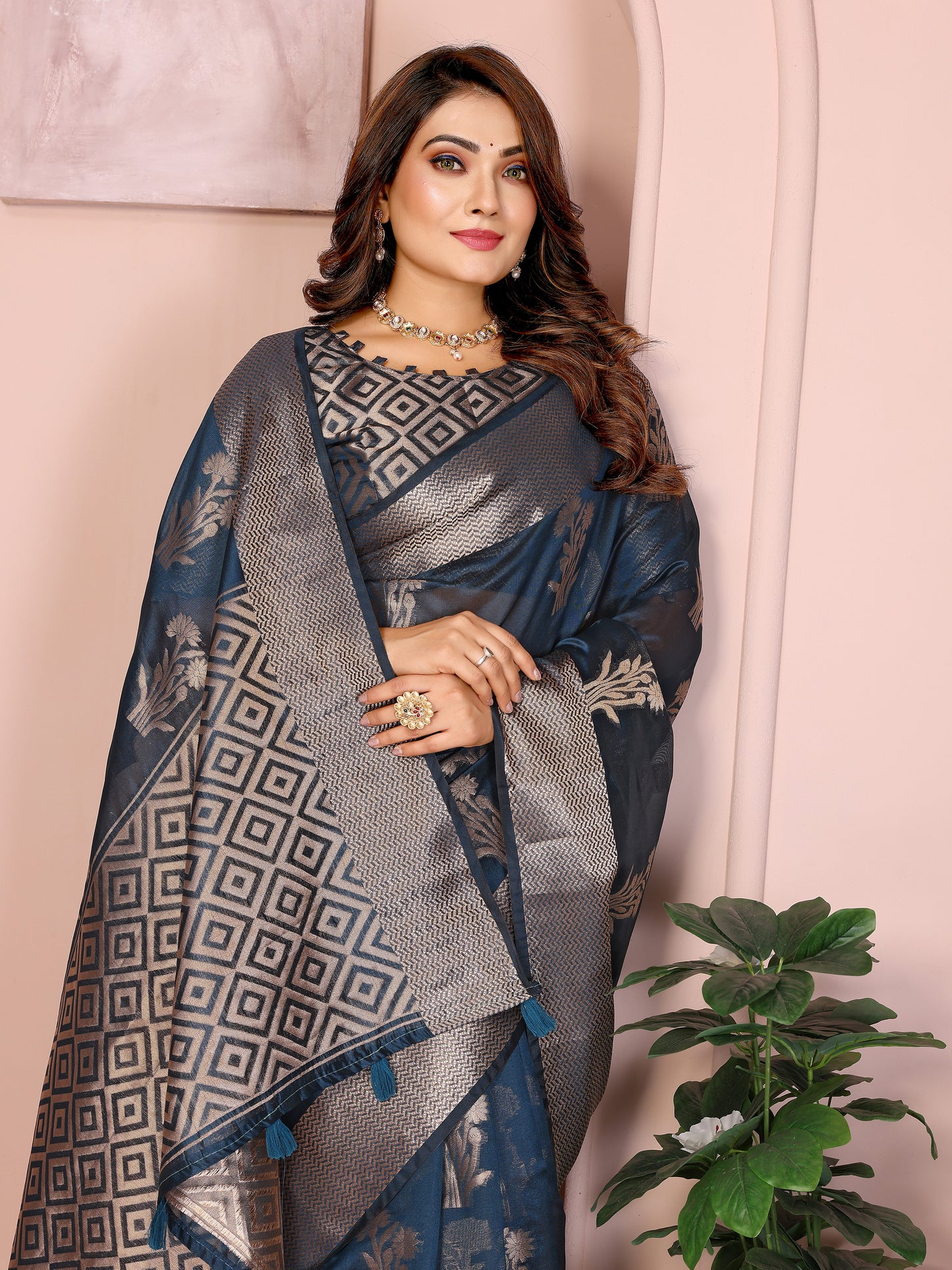 Catalog Designer Saree.