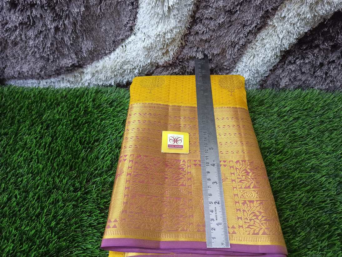 Pure Kanchipuram Silk Saree.
