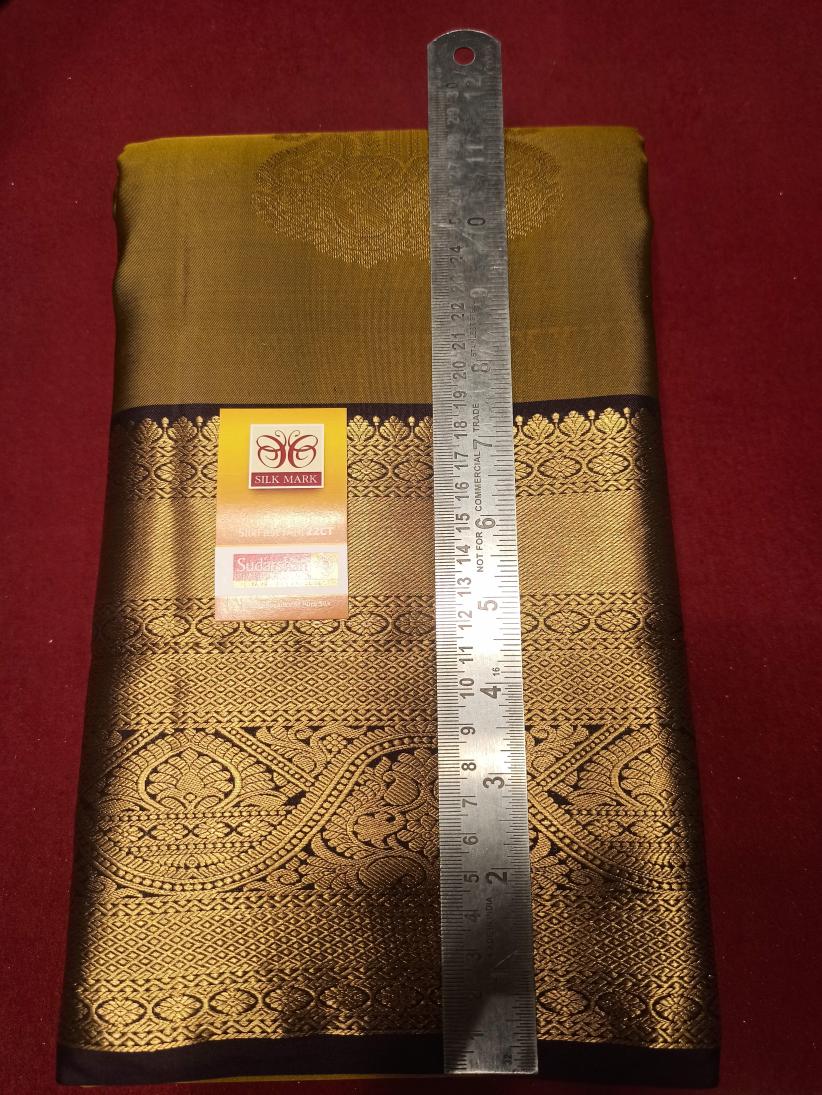 Pure Kanchipuram Silk Saree.
