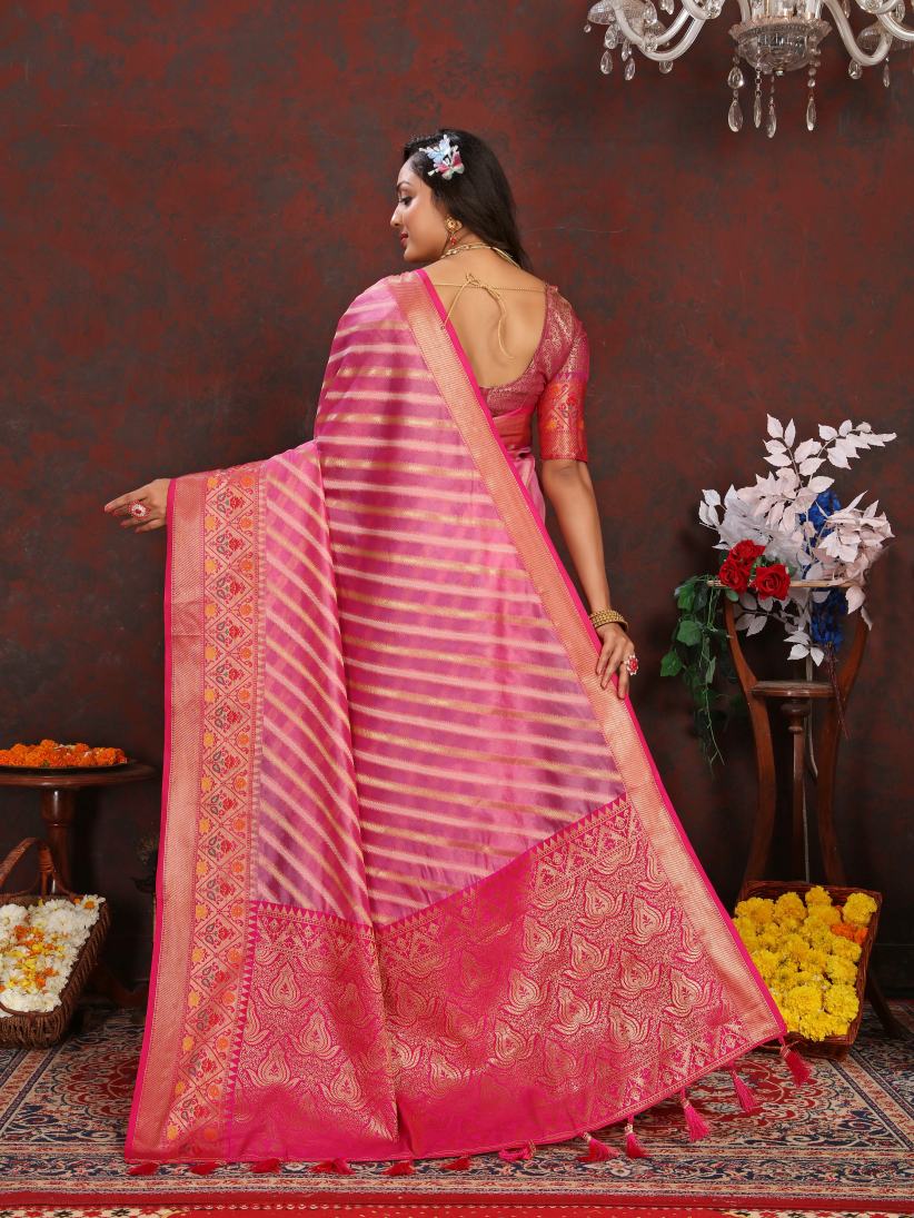 Catalog Designer Saree