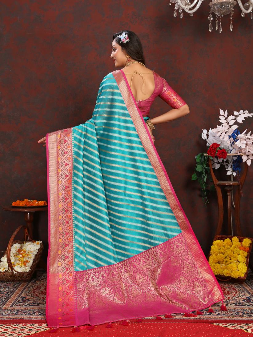 Catalog Designer Saree