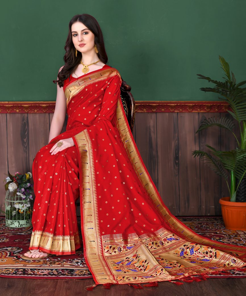 Catalog Designer Saree