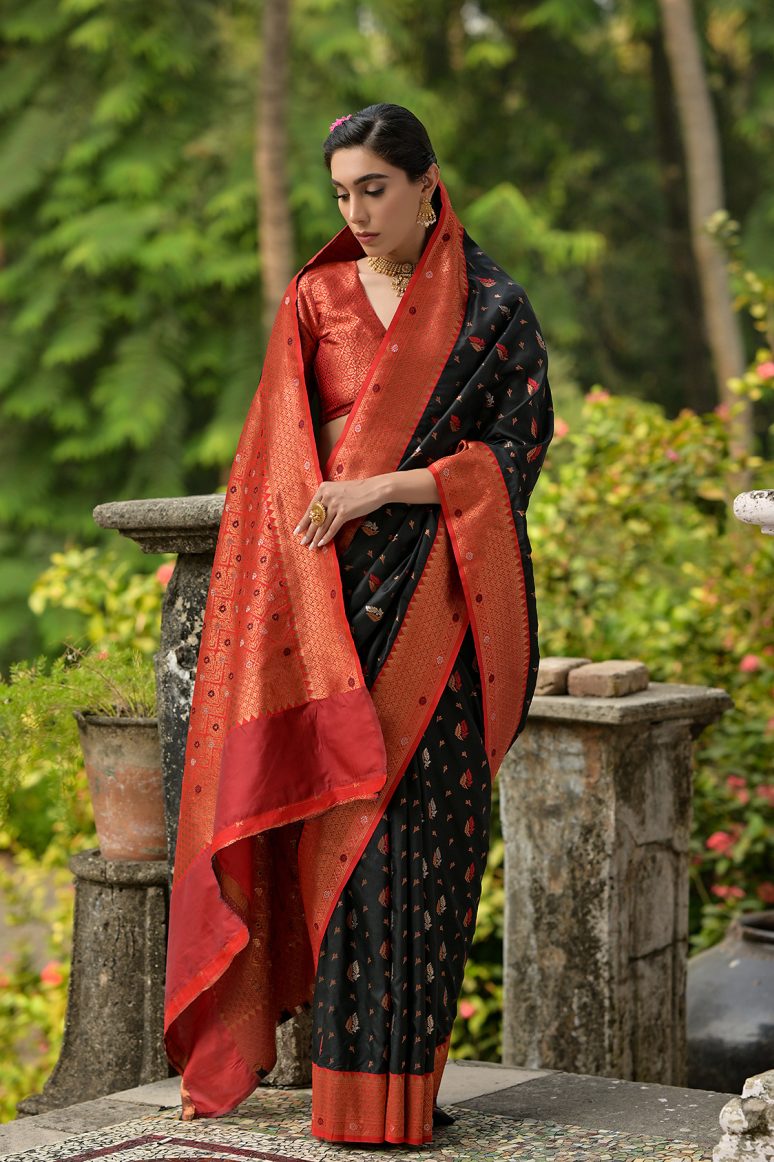 Catalog Designer Saree