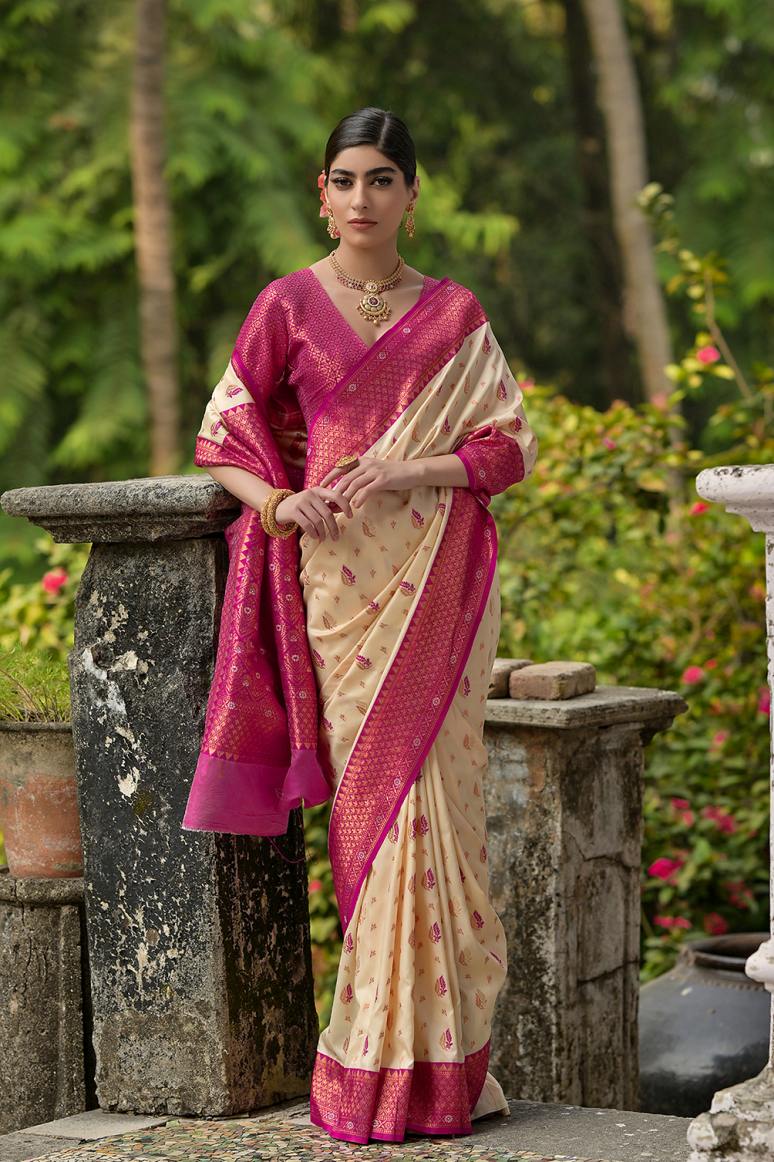 Catalog Designer Saree