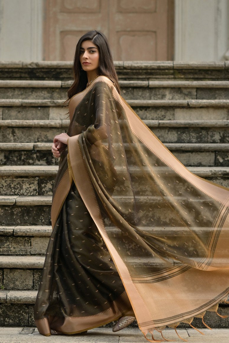 Catalog Designer Saree