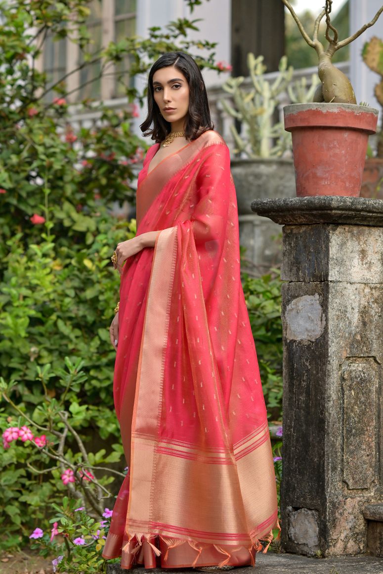 Catalog Designer Saree