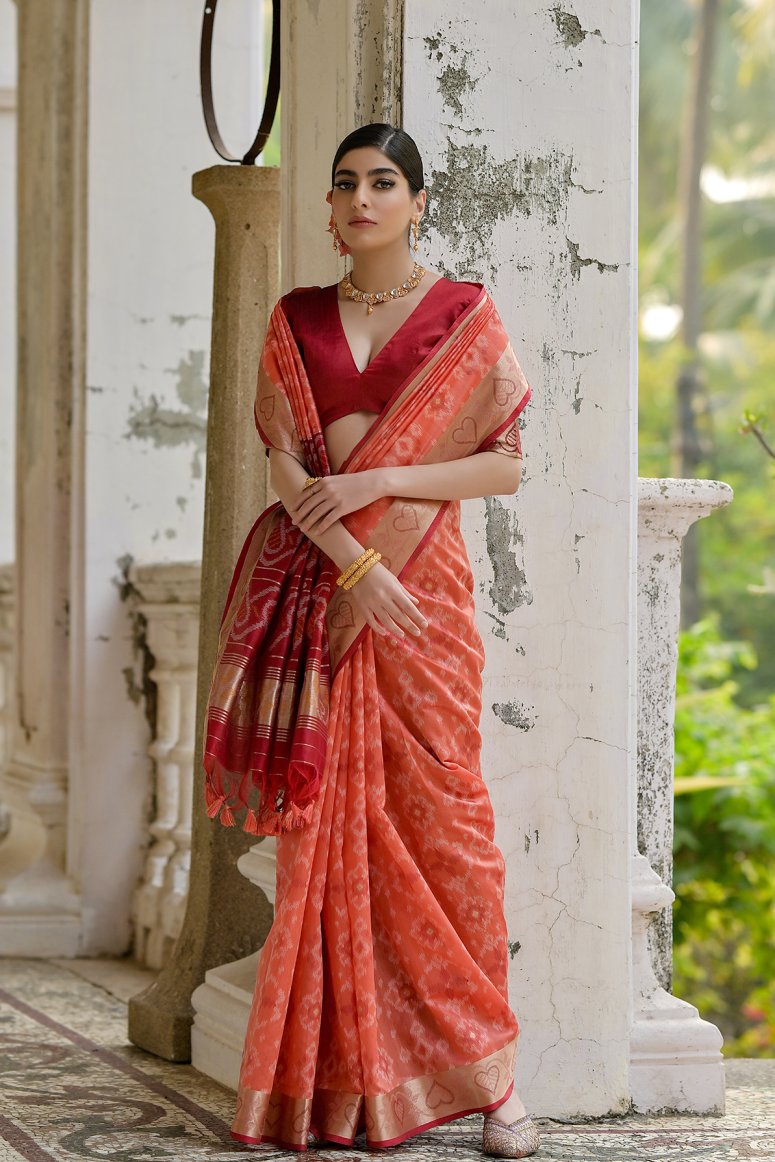 Catalog Designer Saree