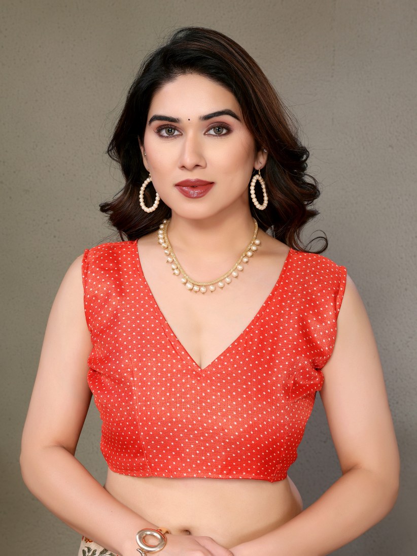 Catalog Designer Saree