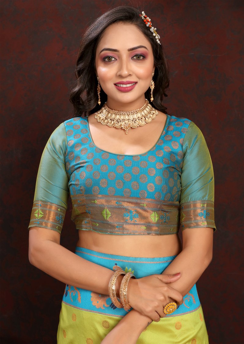 Catalog Designer Saree