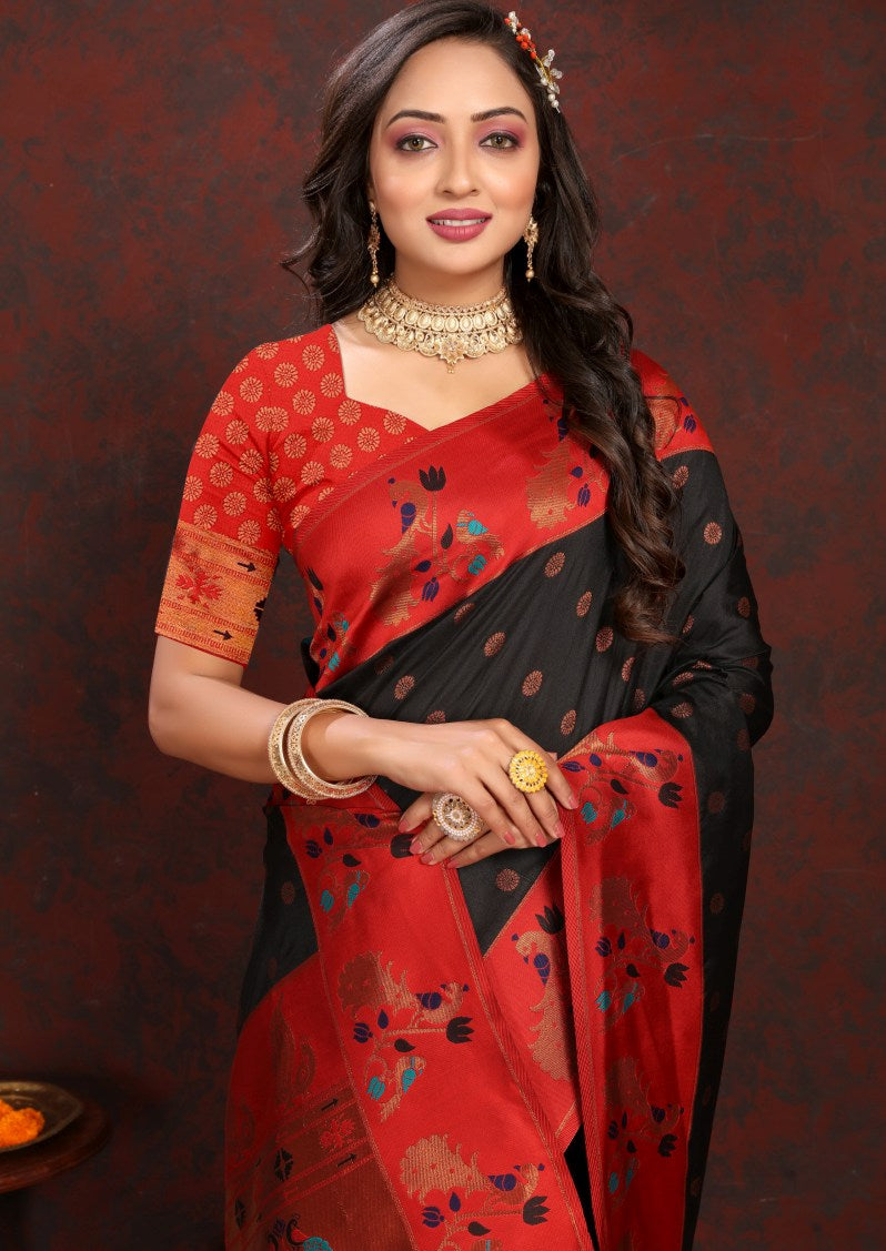 Catalog Designer Saree