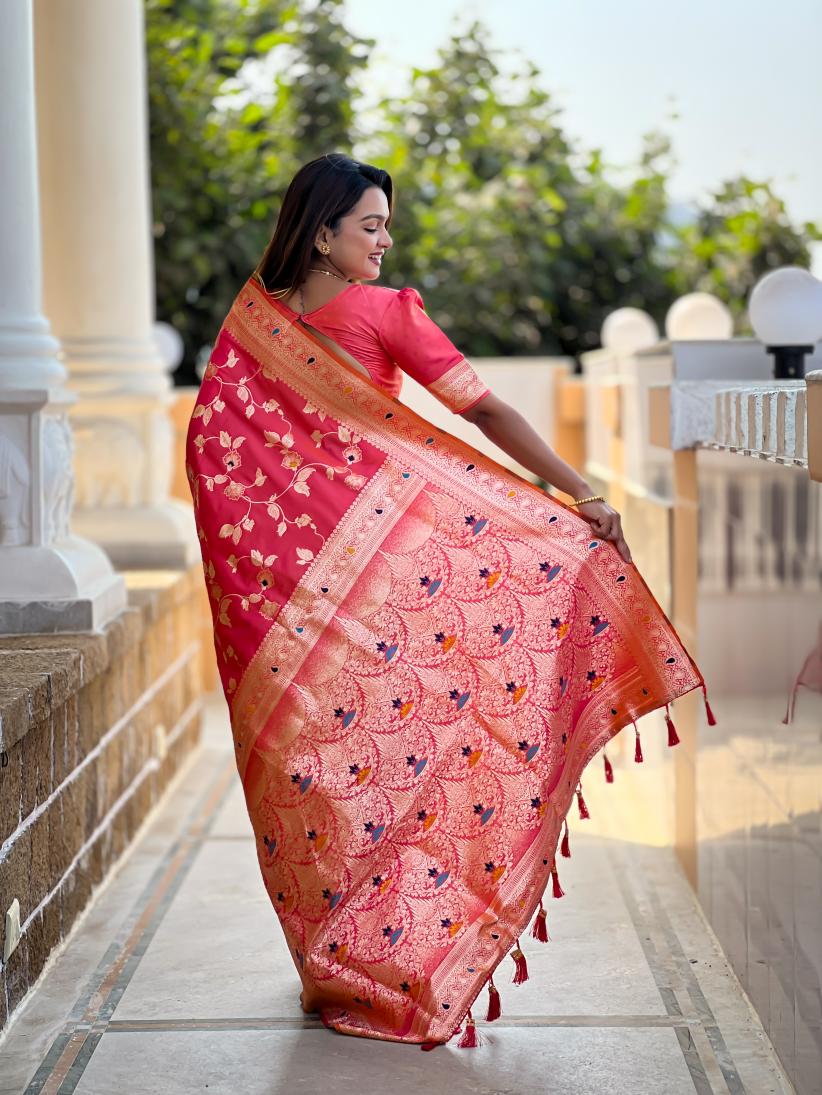 Catalog Designer Saree