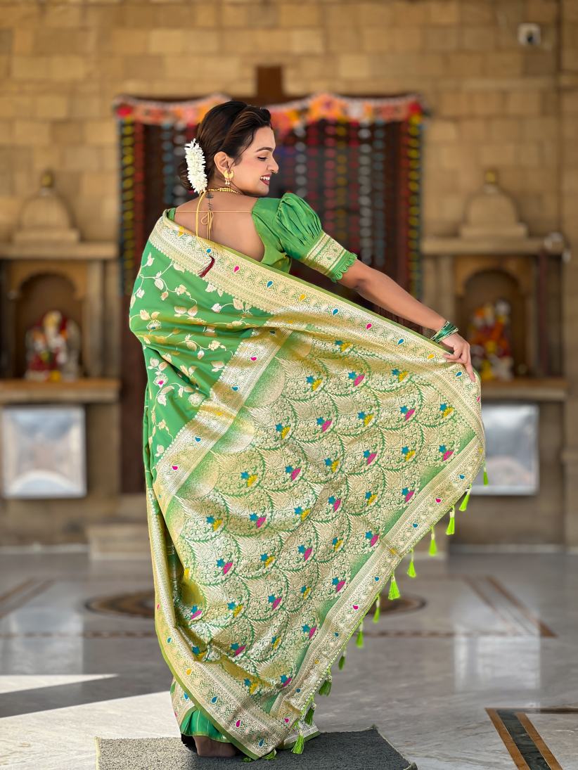 Catalog Designer Saree