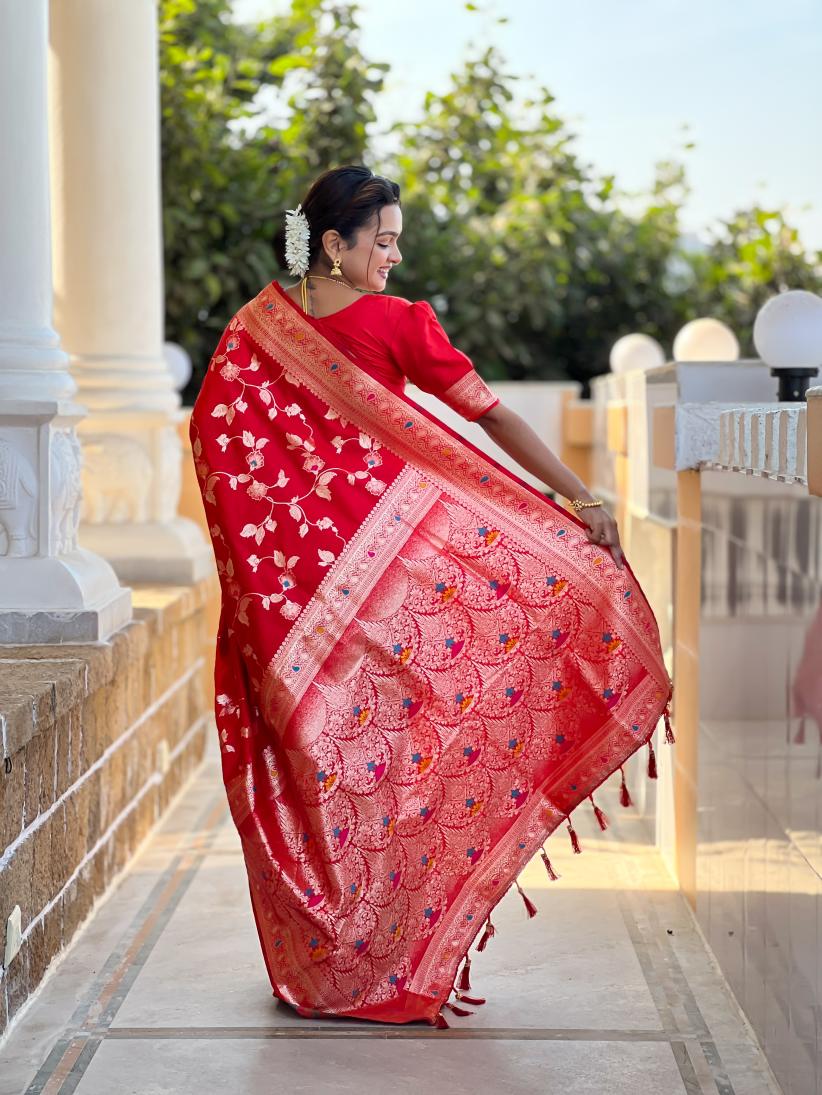Catalog Designer Saree