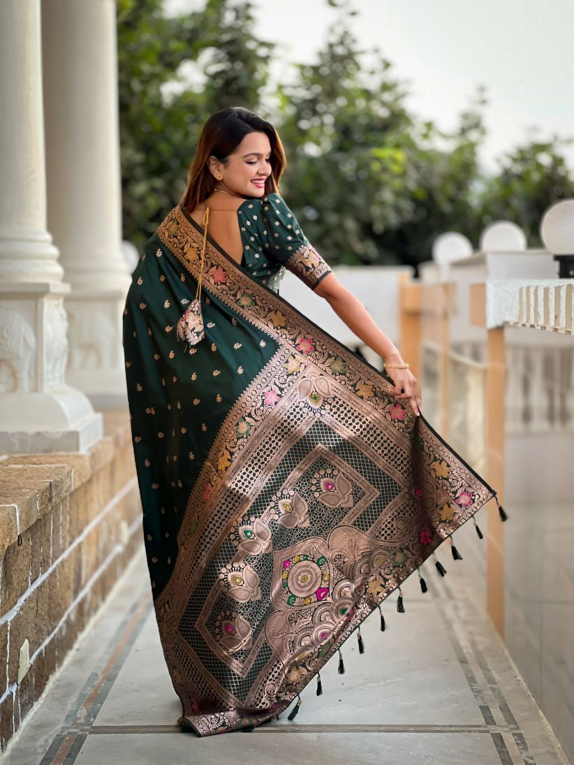 Catalog Designer Saree