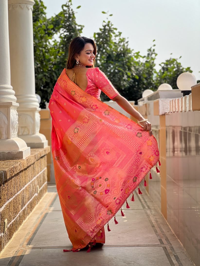 Catalog Designer Saree