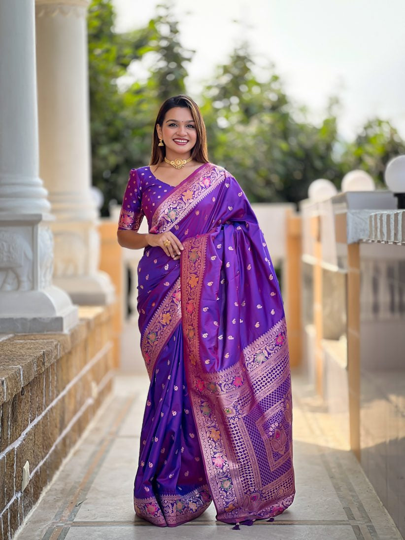 Catalog Designer Saree