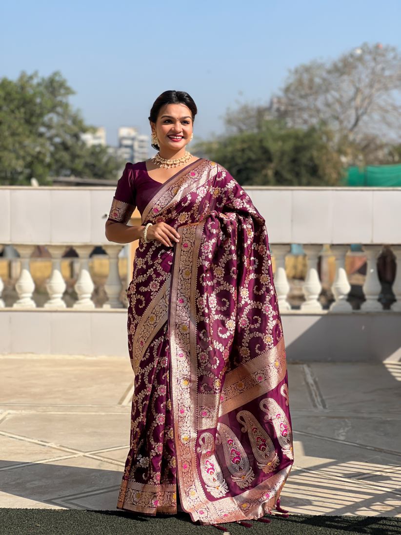 Catalog Designer Saree