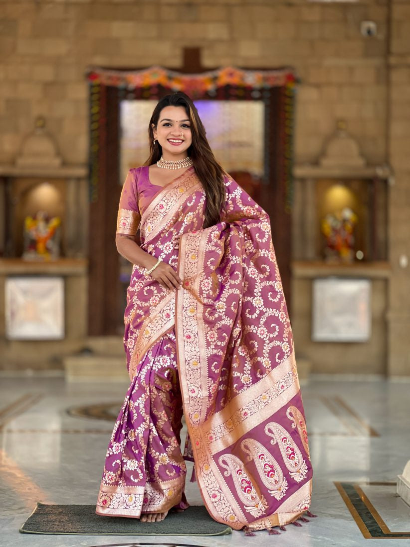 Catalog Designer Saree