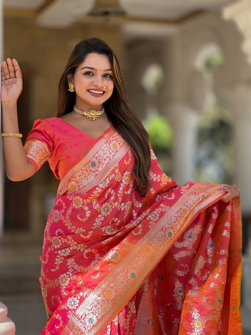 Catalog Designer Saree