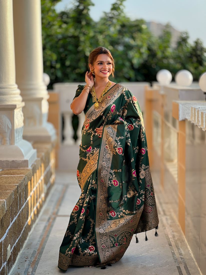Catalog Designer Saree