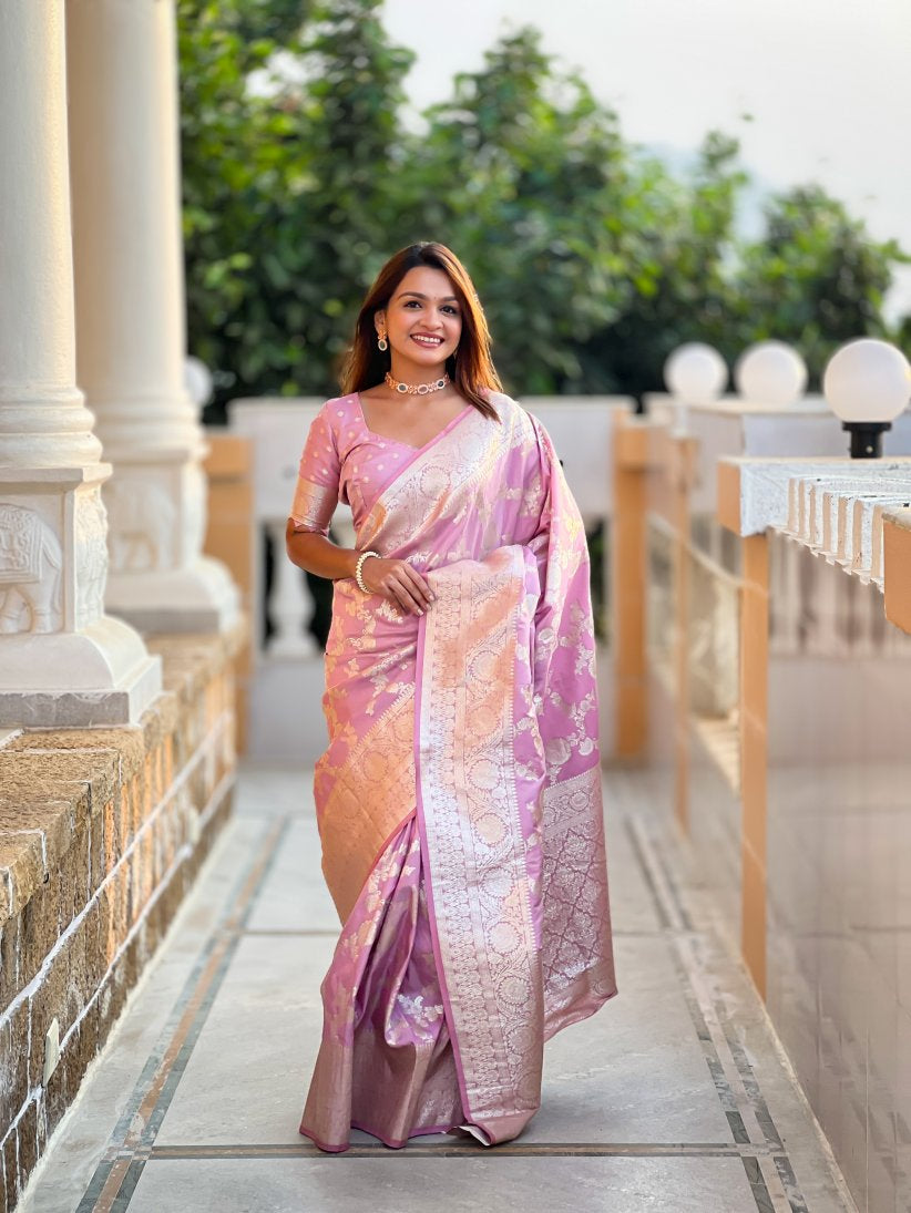 Catalog Designer Saree