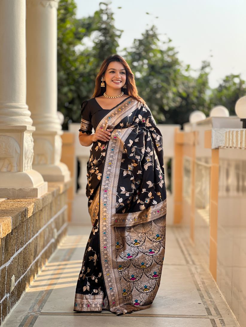 Catalog Designer Saree