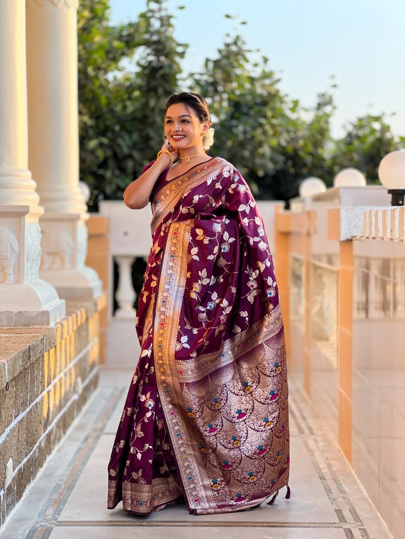 Catalog Designer Saree