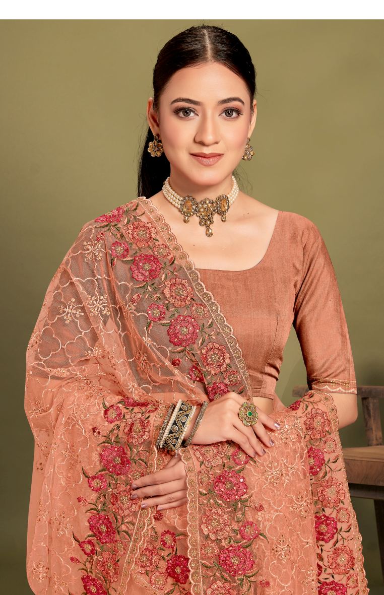 Catalog Designer Saree