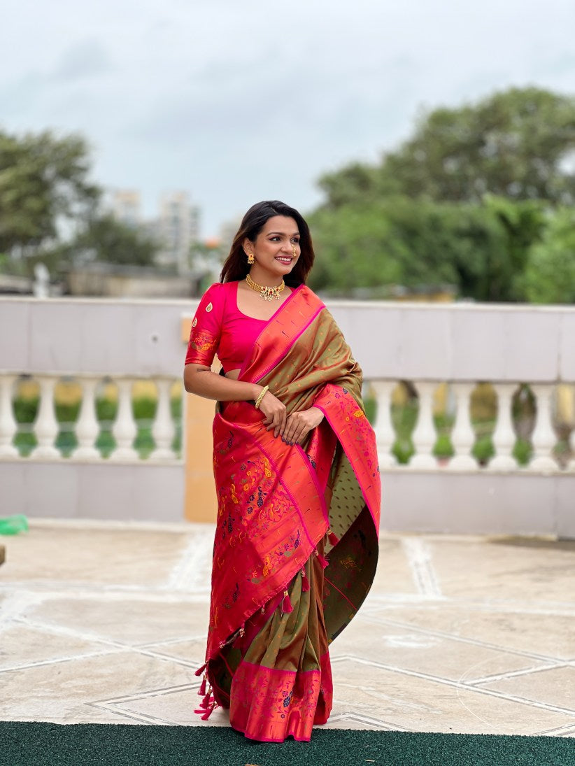 Catalog Designer Saree