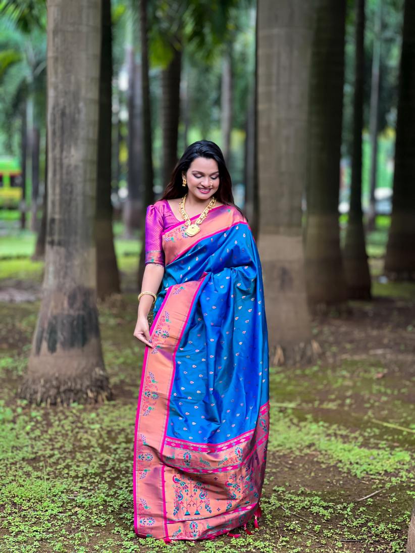 Catalog Designer Saree