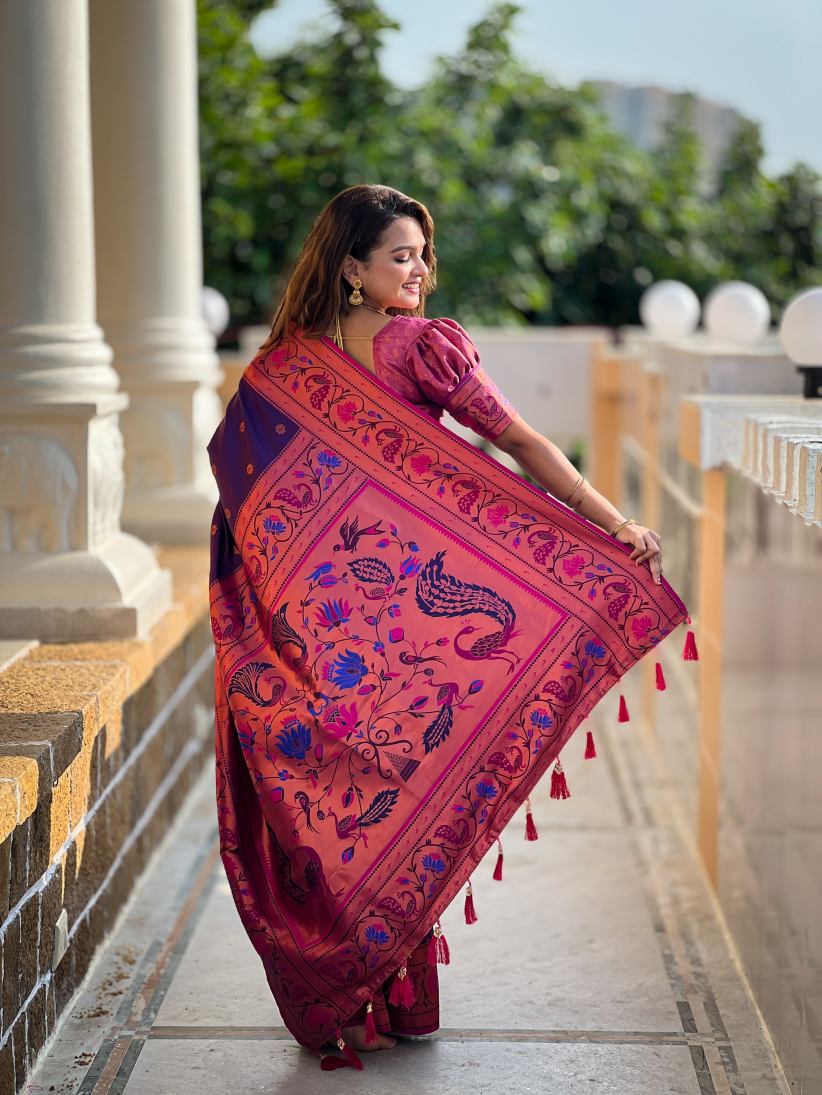 Catalog Designer Saree