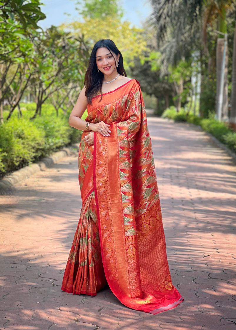 Catalog Designer Saree