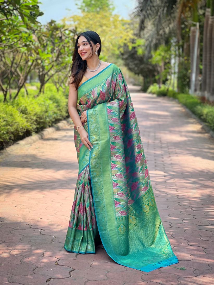 Catalog Designer Saree