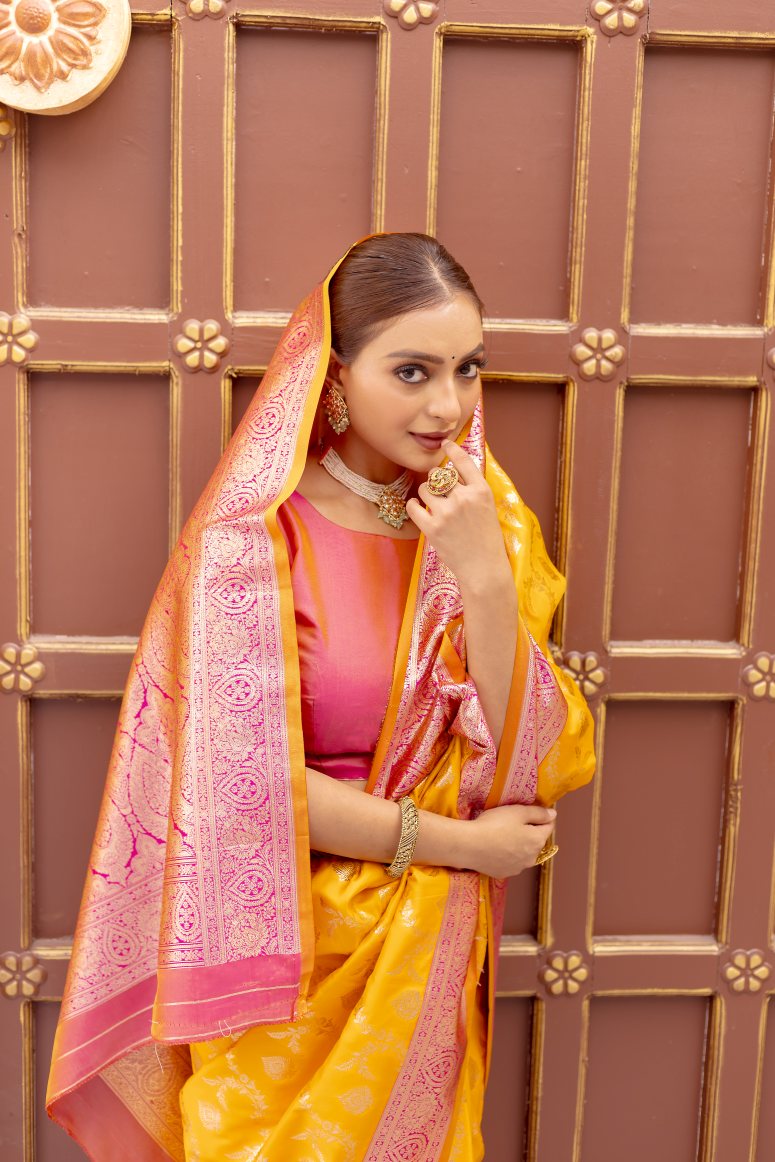 Catalog Designer Saree