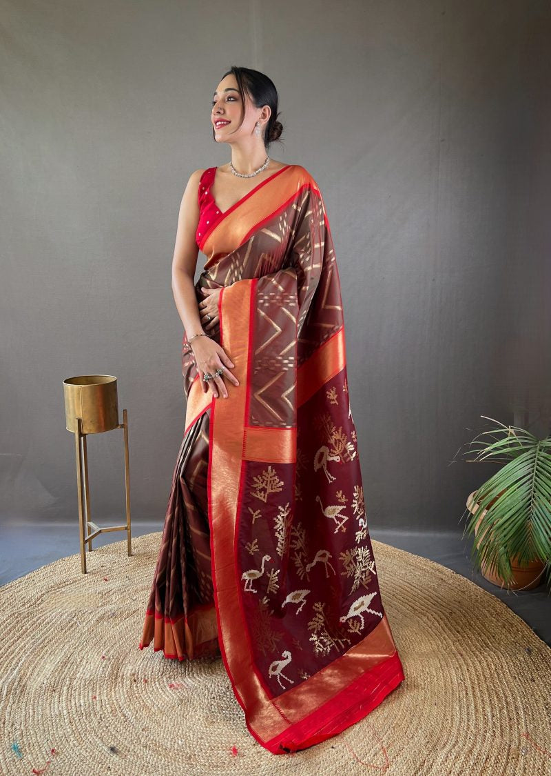 Catalog Designer Saree