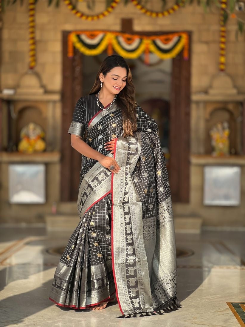 Catalog Designer Saree.