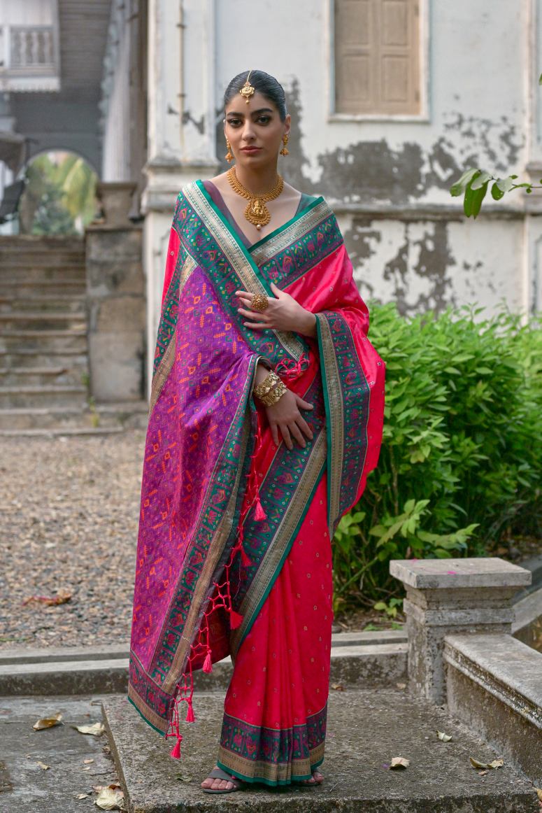 Catalog Designer Saree