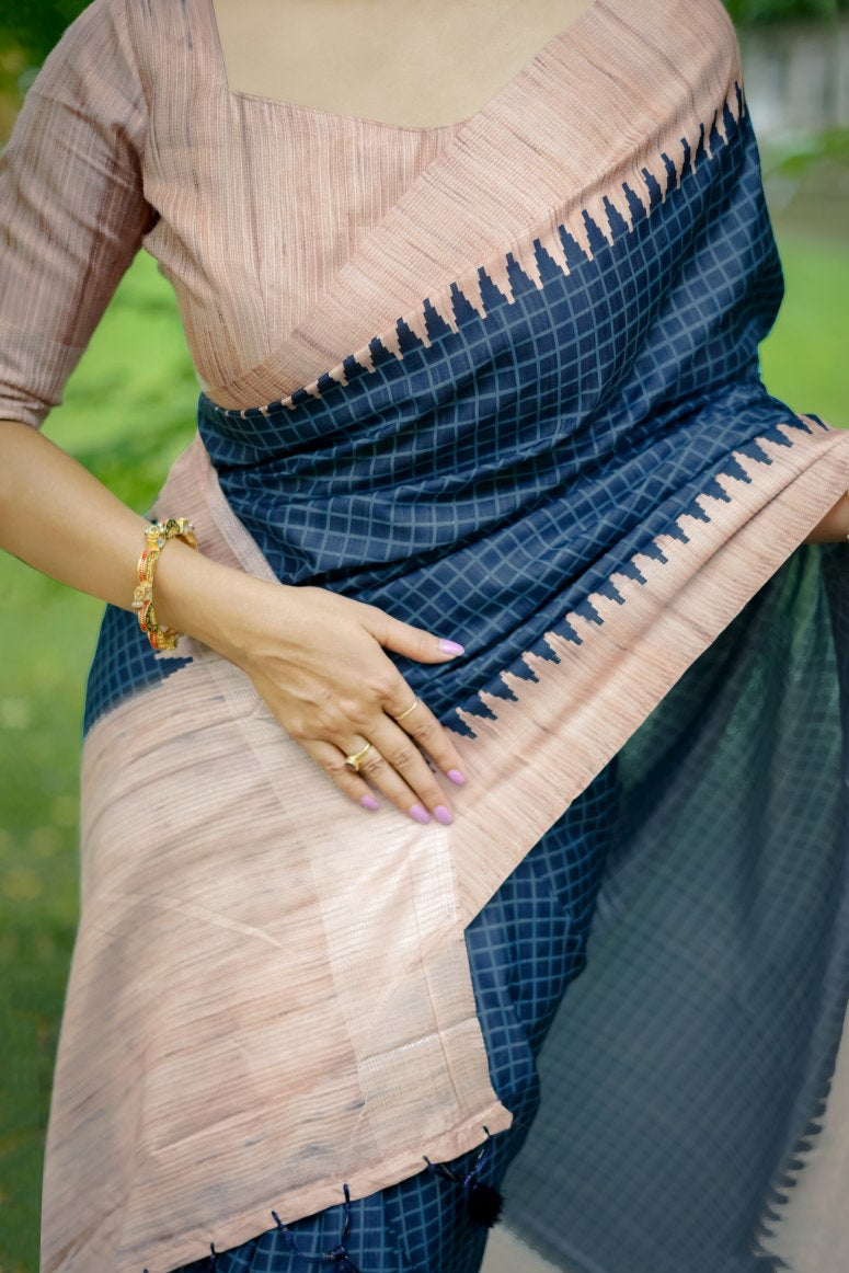 Catalog Designer Saree