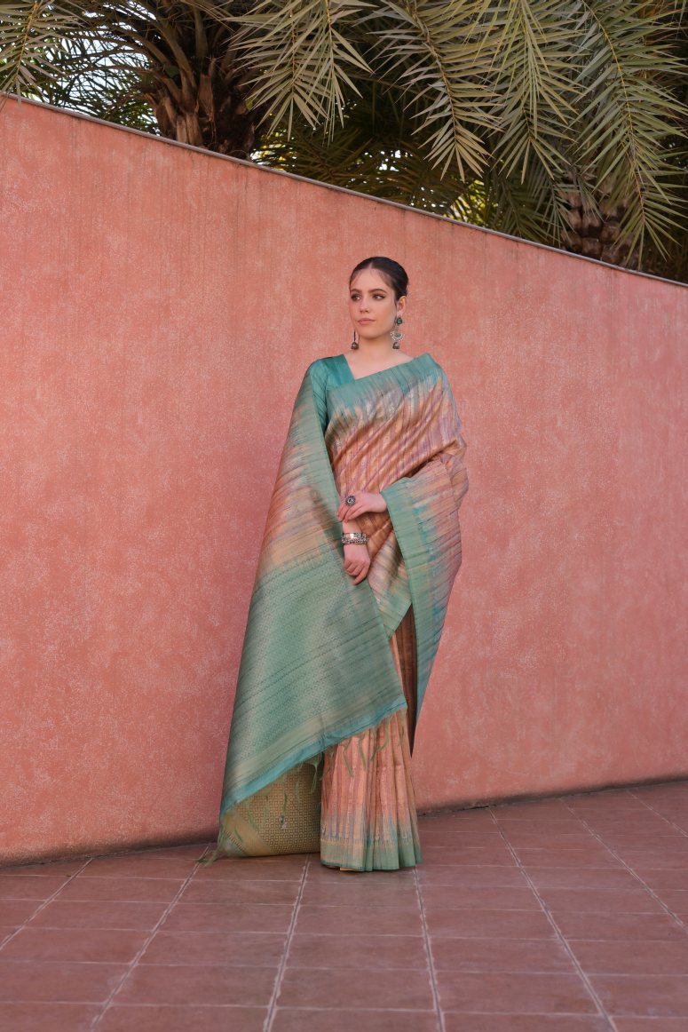 Catalog Designer Saree