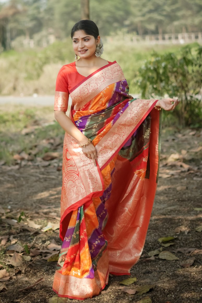 Catalog Designer Saree