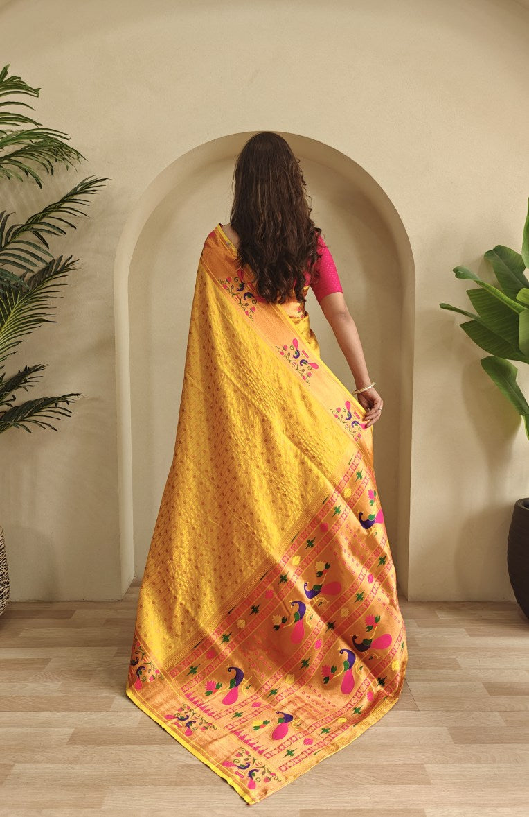 Catalog Designer Saree.