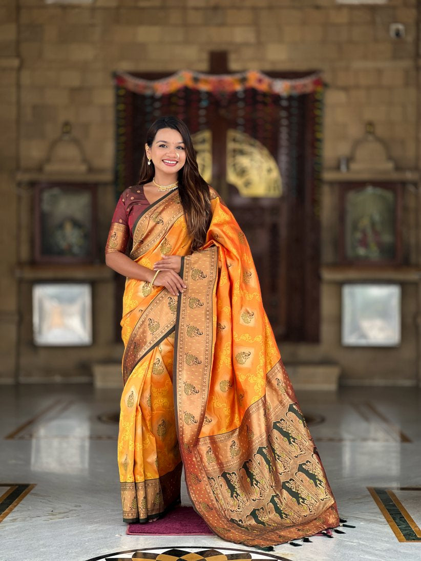 Catalog Designer Saree.