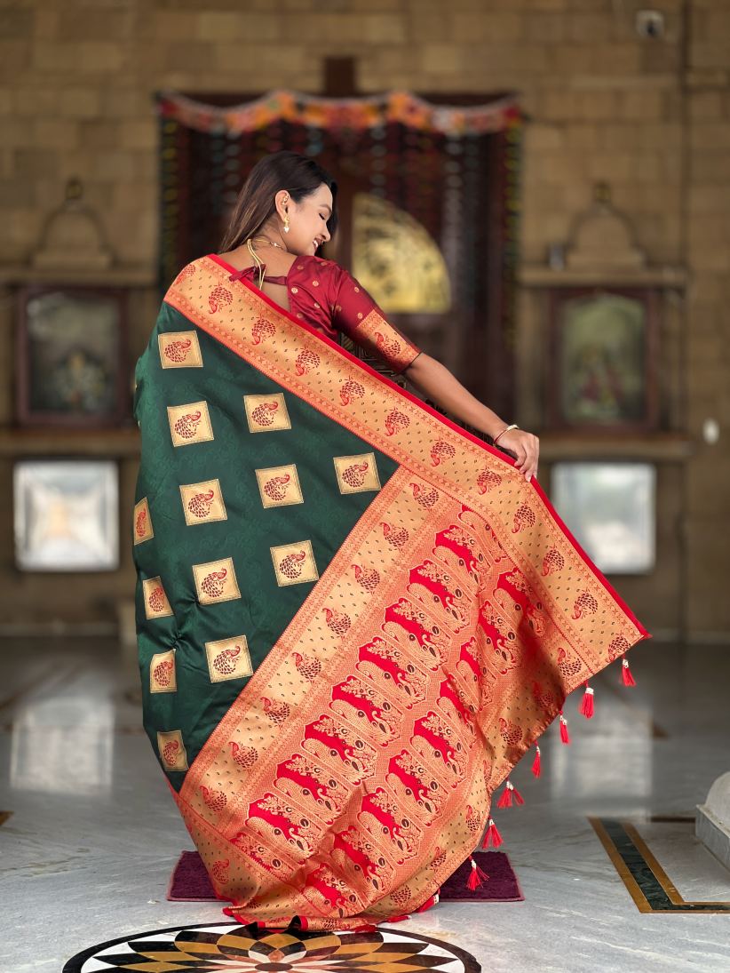 Catalog Designer Saree.