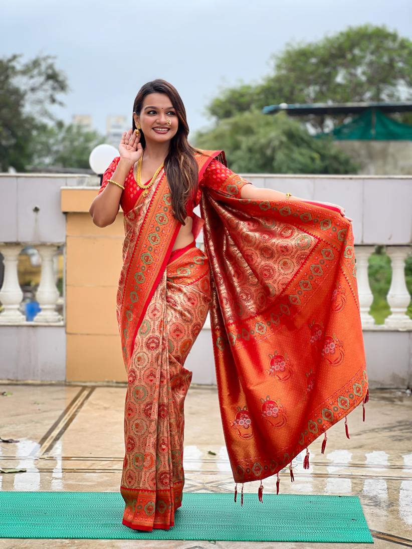 Catalog Designer Saree.