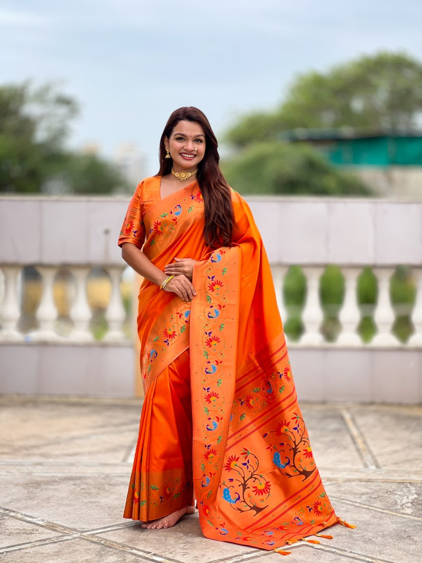 Catalog Designer Saree.