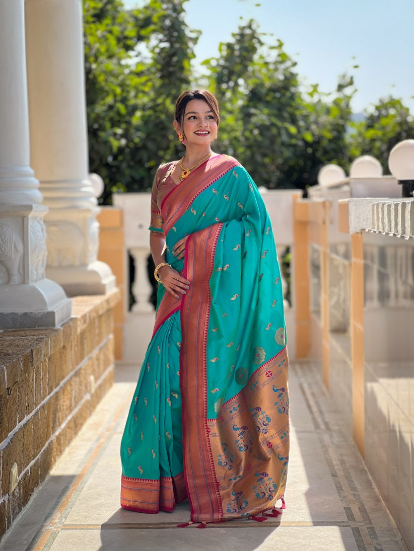 Catalog Designer Saree