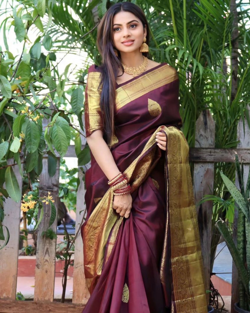 Catalog Designer Saree.