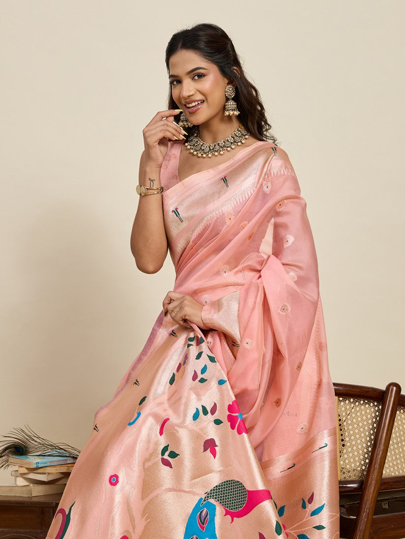 Catalog Designer Saree.