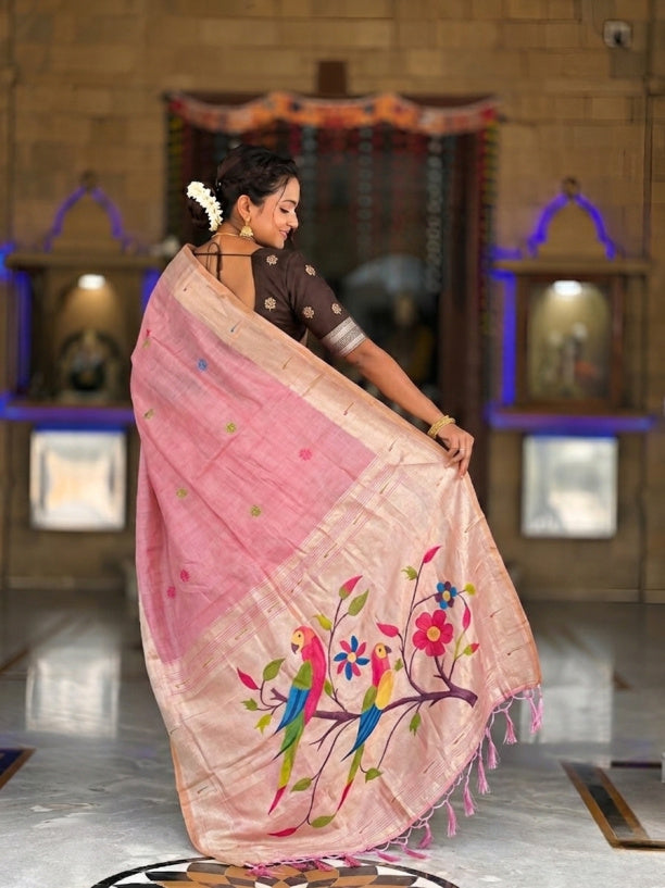 Catalog Designer Saree.